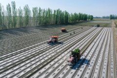 科技绘就新疆春耕新图景